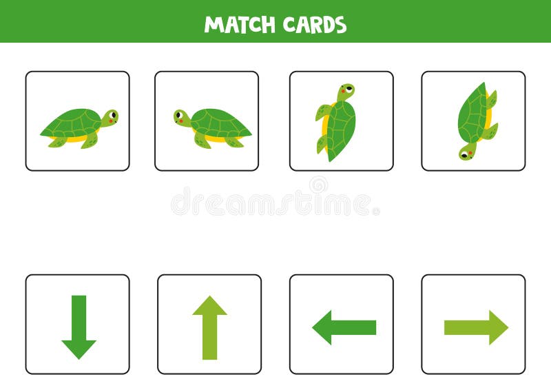 Left, Right, Up or Down. Spatial Orientation with Cute Green Turtle