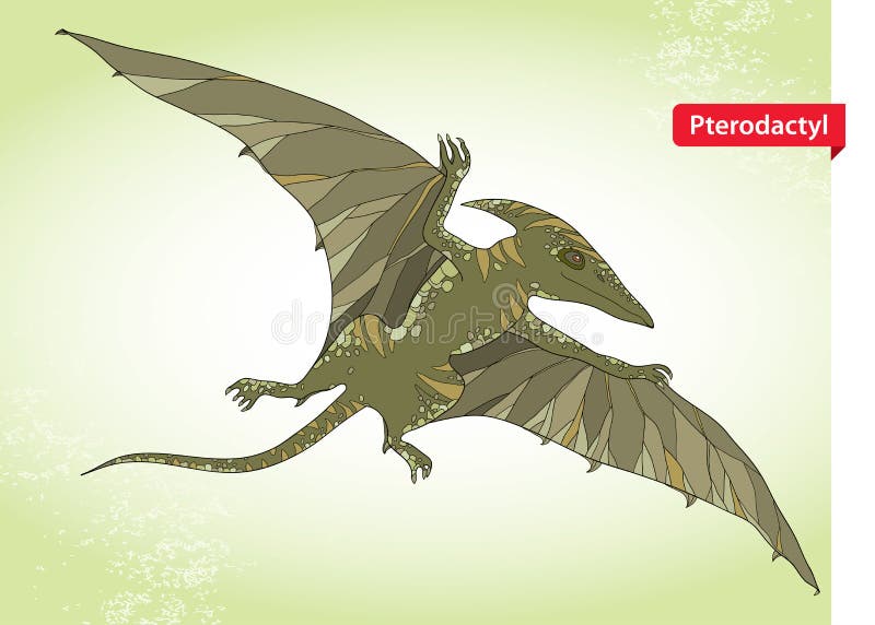 Dirigez l'illustration du lézard de ptérodactyle ou d'aile des sous-ordres de pterosaurs sur le fond vert illustration de vecteur Dirigez l'illustration du lézard de ptérodactyle ou d'aile des sous-ordres de pterosaurs sur le fond vert illustration de vecteur