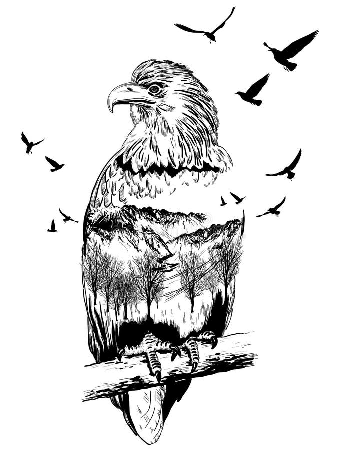 Dirigez la double exposition, aigle, concept de faune illustration stock Dirigez la double exposition, aigle, concept de faune illustration stock