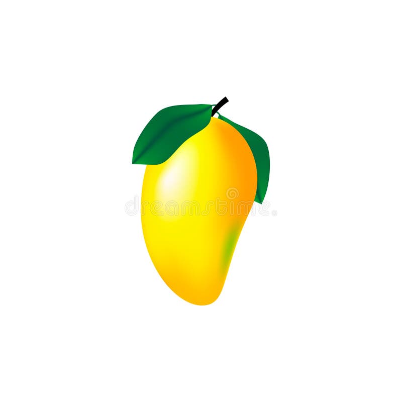 Dirigez la mangue jaune, orange, verte mûre avec des feuilles d'isolement sur le fond blanc