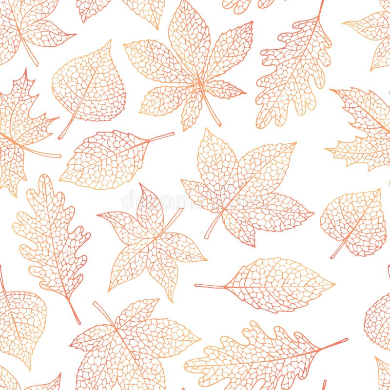 Dirigez le modèle sans couture d'automne avec le contour de feuilles de marron d'Inde de chêne, de peuplier, de hêtre, d'érable, illustration stock Dirigez le modèle sans couture d'automne avec le contour de feuilles de marron d'Inde de chêne, de peuplier, de hêtre, d'érable, illustration stock