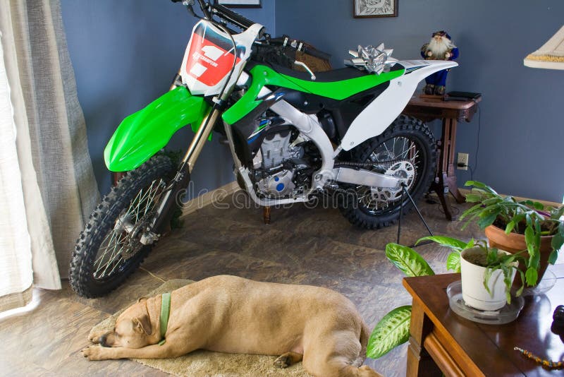 Dirt bike and dog