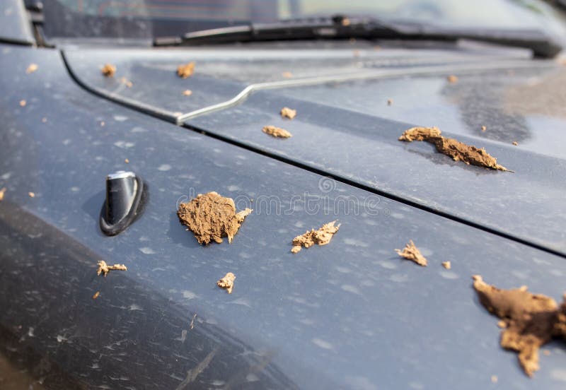 Dirt on the Body from the Car As a Background Stock Photo Image of