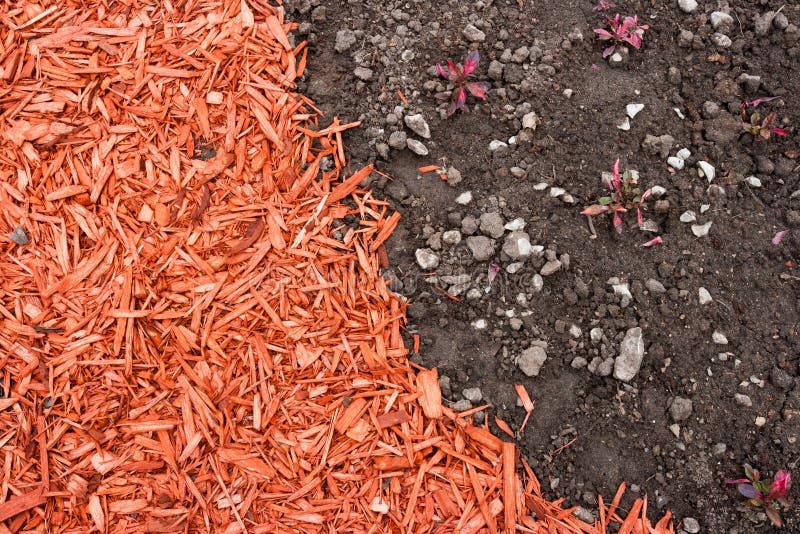 Dirt and mulch stock photo. Image of sprout, horizontal 14917452