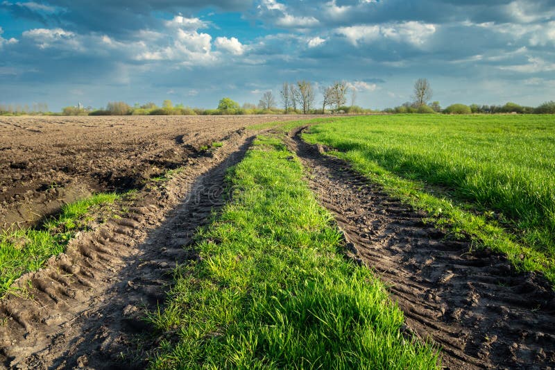 Dirt Road in the Field and Clouds in the Sky Stock Photo Image of blue, farmland 269749322