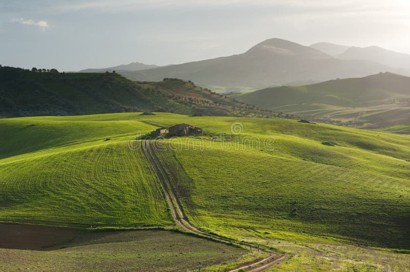 Dirt Road And Rolling Field