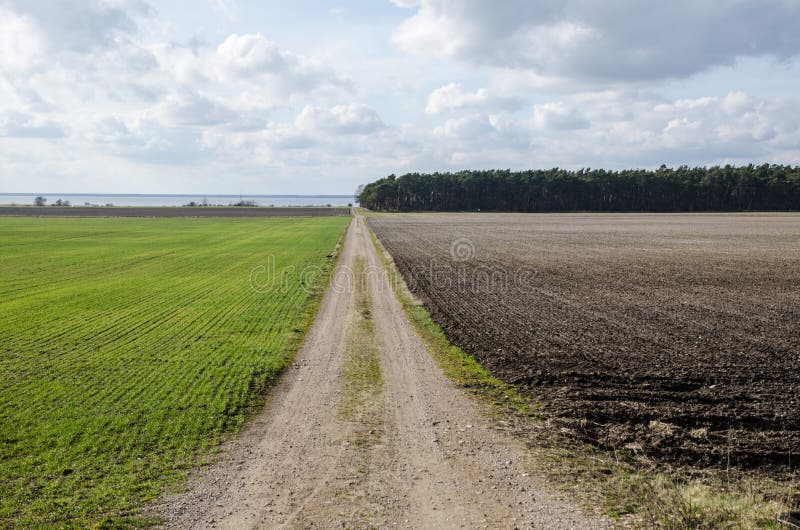 Dirt road in a rural landscpae stock photography
