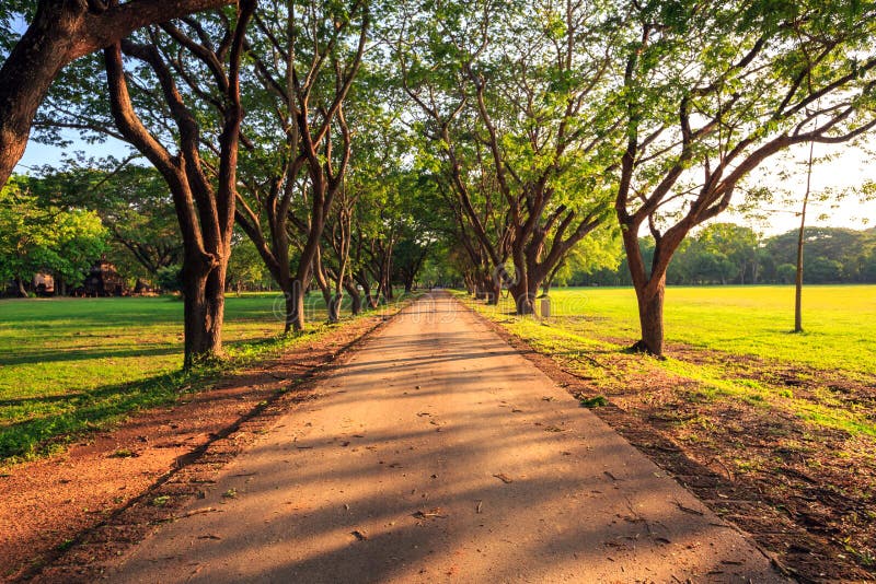 Dirt Road stretching out