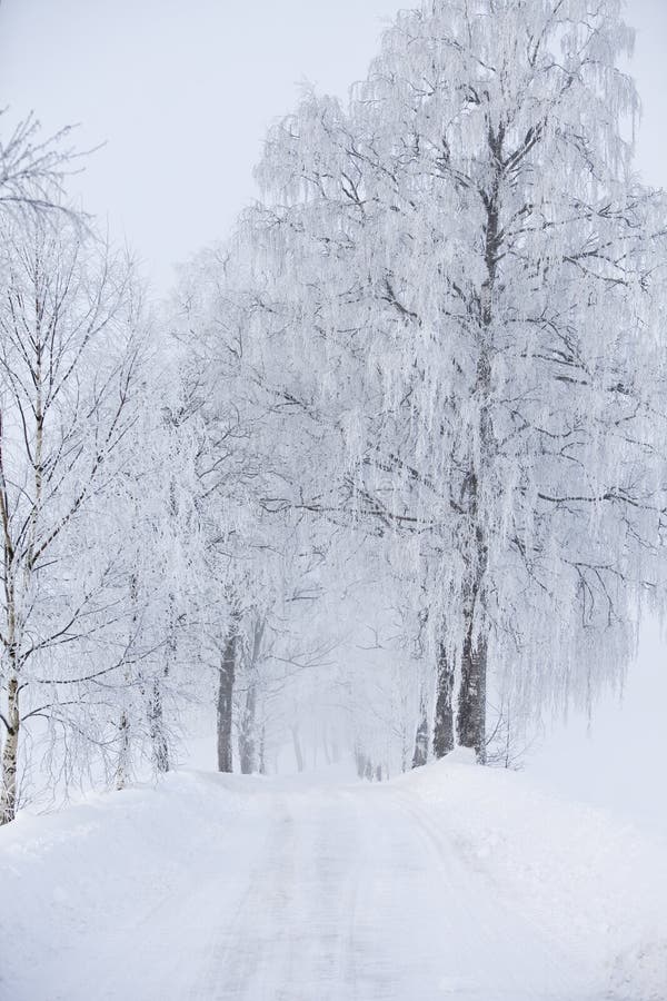 Dirt road at winter