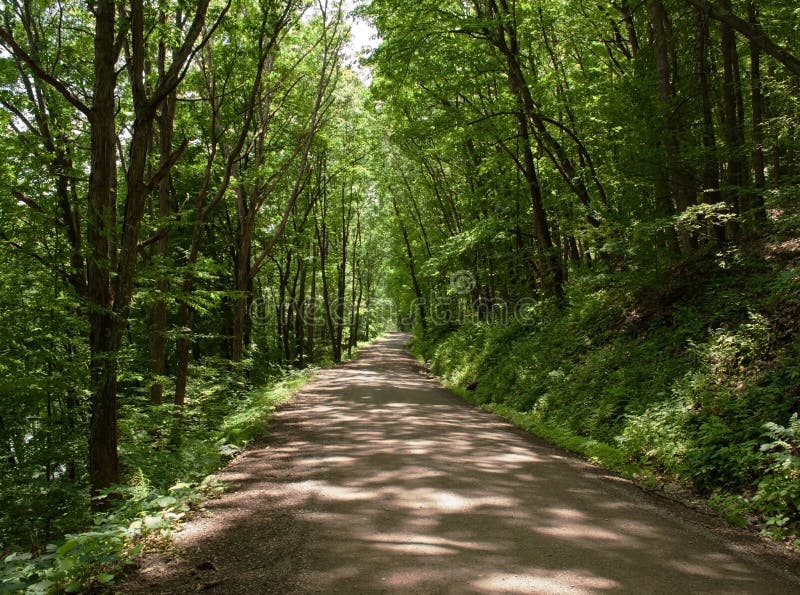 A Dirt Road through Fall Woods in Althom, Pennsylvania, USA Stock Photo