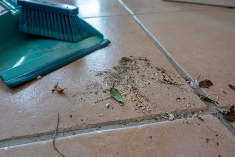 Swept with a Broom is Lying on the Floor Stock Photo Image of