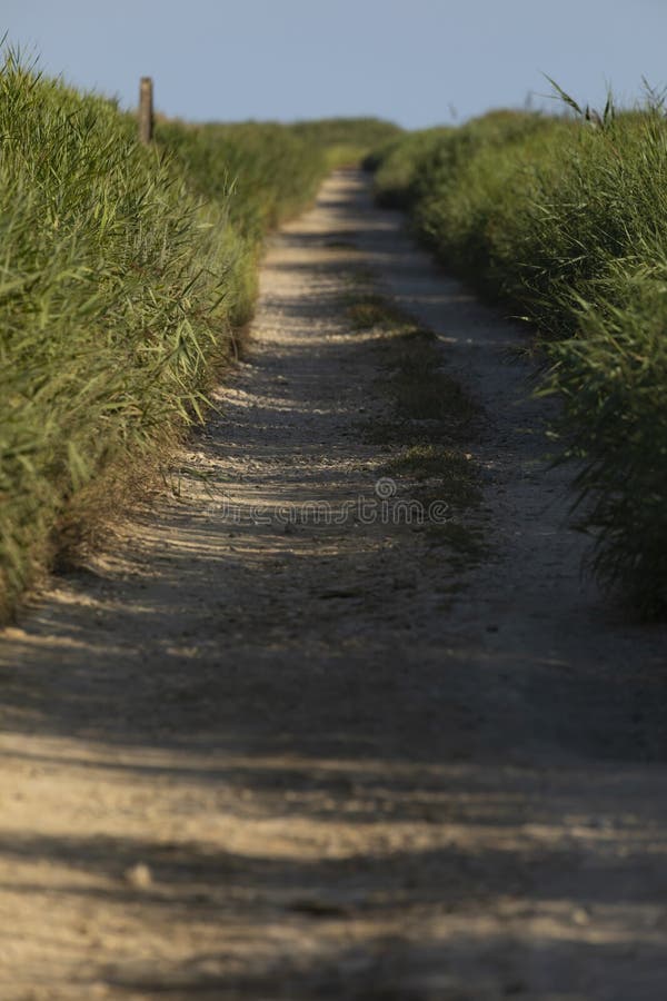 Dirt track crosses protected wetlands, Spain