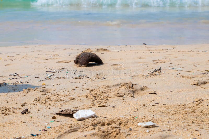 Dirty beaches.Caused by the dumping of undisciplined. Pollution on the beach of tropical sea. Environmental pollution stock photography Dirty beaches.Caused by the dumping of undisciplined. Pollution on the beach of tropical sea. Environmental pollution stock photography