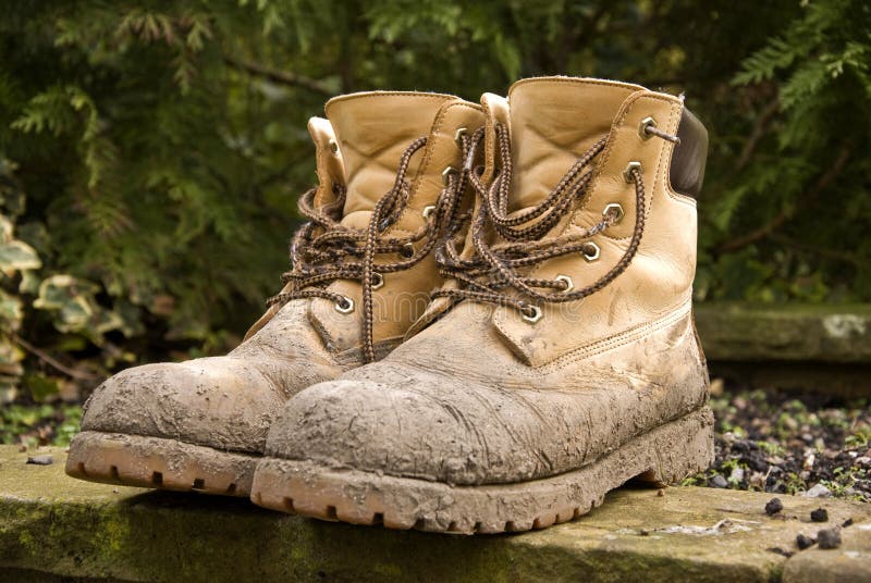 Dirty boots and dirty dog stock photo. Image of expression - 26209188