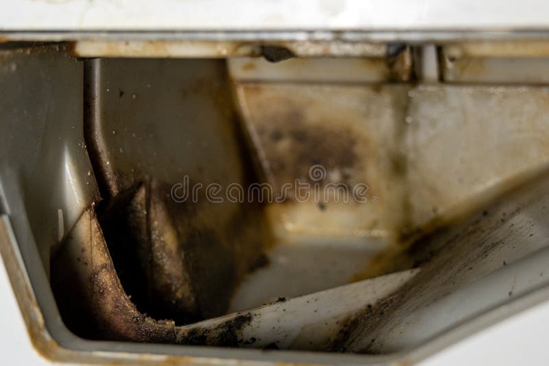 Dirty Compartment in the Washing Machine. Black Mold, Rust and