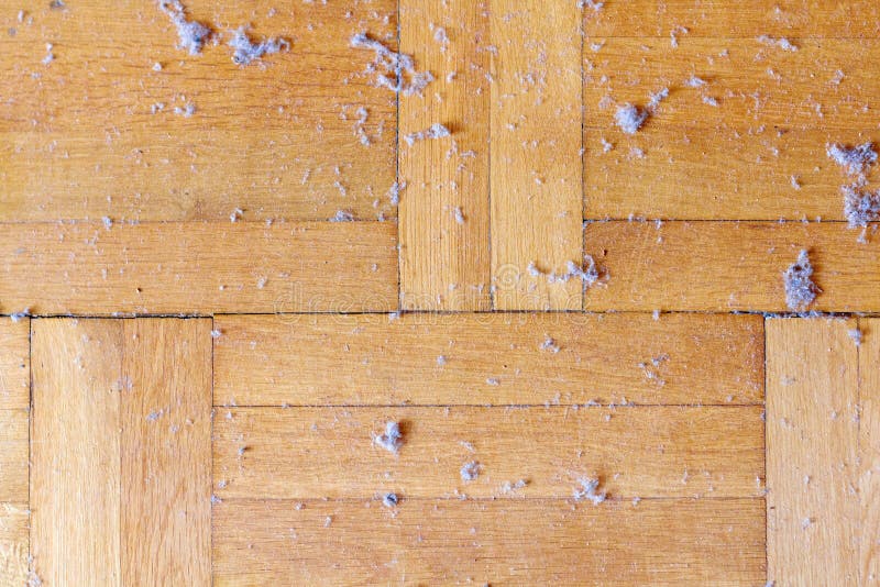 Sucio polvoriento de madera suelos de piso polvo higiene.