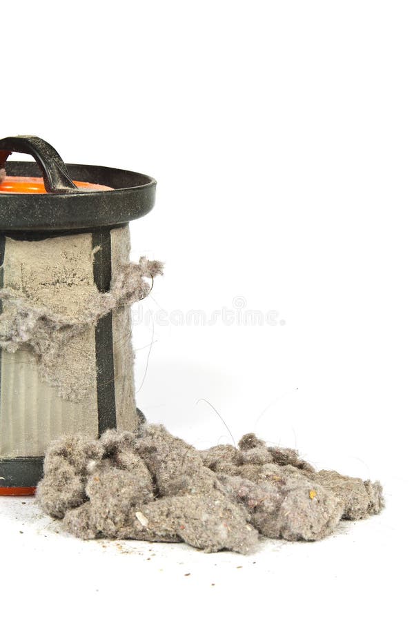 Dirty Filter Vacuum Cleaner Stock Photo Image of dirt, fiber 46301782