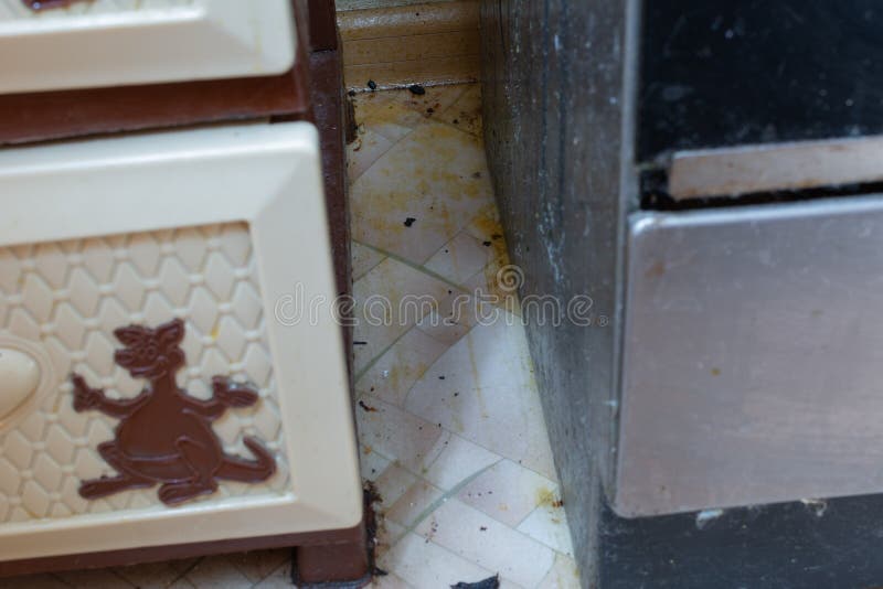 Dirty Floor in the Kitchen. Greasy Kitchen Floor. Cleaning Service