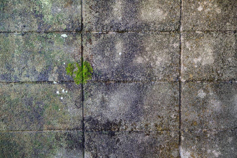 The Dirty Floor Surface Texture Image Close Up Stock Photo Image of
