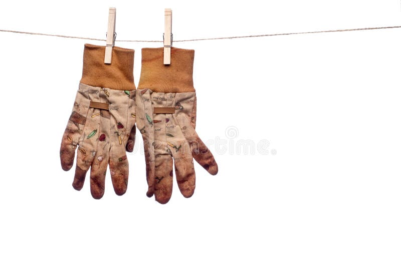 Dirty garden work gloves hanging on a clothesline