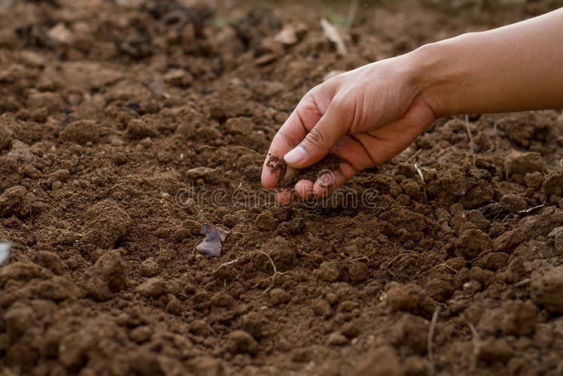 146 Soil Mix Gardening Pot Photos Free Royalty Free Stock Photos From Dreamstime