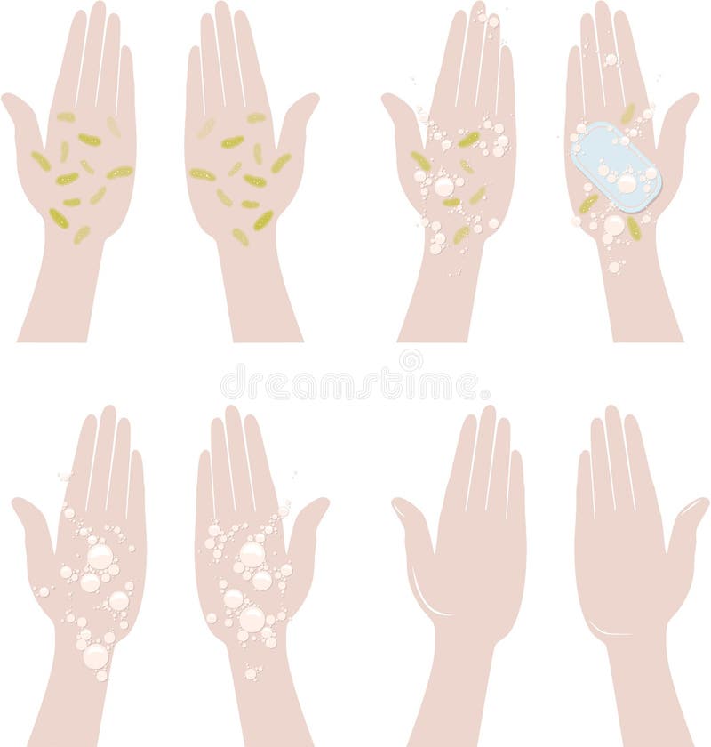 Dirty Hands and Clean Hands Stock Vector Illustration of foamy