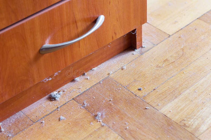 Sucio madera dura suelos de piso polvo 
