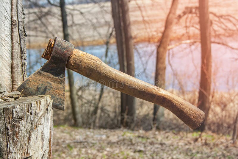 Dirty hatchet in tree stock image. Image of outside 116386743