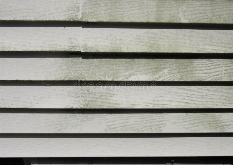 Vinyl Siding with Buildup of Lichen and Dirt Stock Image - Image