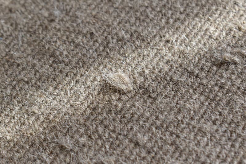 571 Dirty Hair Carpet Stock Photos - Free & Royalty-Free Stock Photos from Dreamstime 571 Dirty Hair Carpet Stock Photos - Free & Royalty-Free Stock Photos from Dreamstime