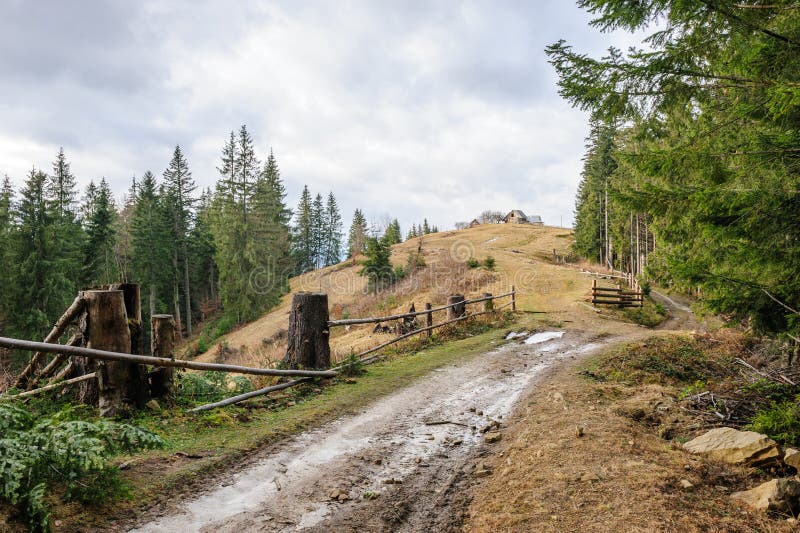 Dirty road and single house near the forest