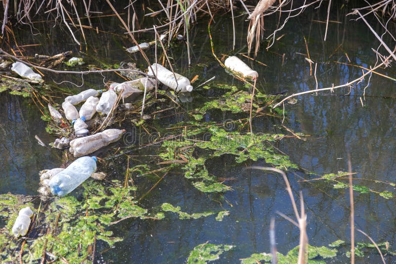 Dirty sewage and household rubbish in small river, irrigation channel causes rapid growth of algae. Water pollution. Ecological problem. Problem of plastic. Use of water is dangerous, it is forbidden