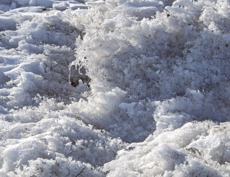 Dirty Spring Snow Melts in the Sun Stock Photo Image of path, season