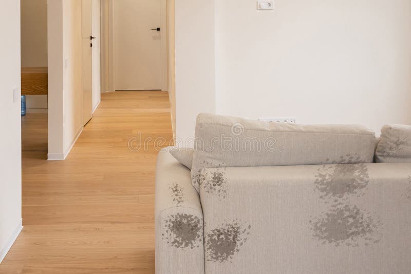 Dirty Stain on Grey Sofa in Living Room Stock Photo Image of sofa