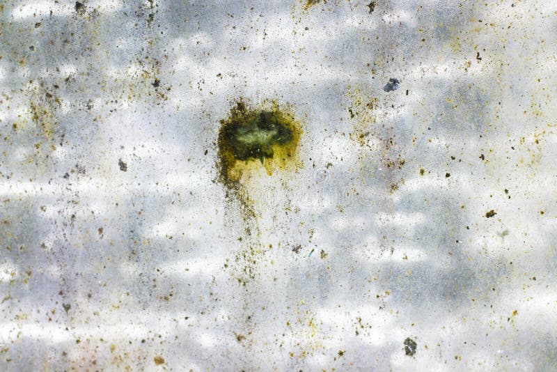 Dirty unhygienic mold stain on glass window cause by dampness stock photo Dirty unhygienic mold stain on glass window cause by dampness stock photo