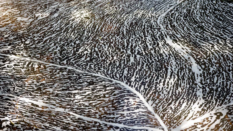 dirty water dirty water