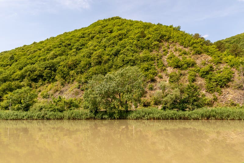 Dirty Water in the River after a Shower Stock Image Image of forest