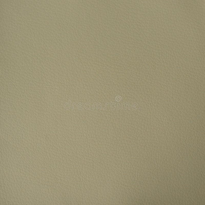 Dirty White Leather Texture Stock Image Image of genuine, detail