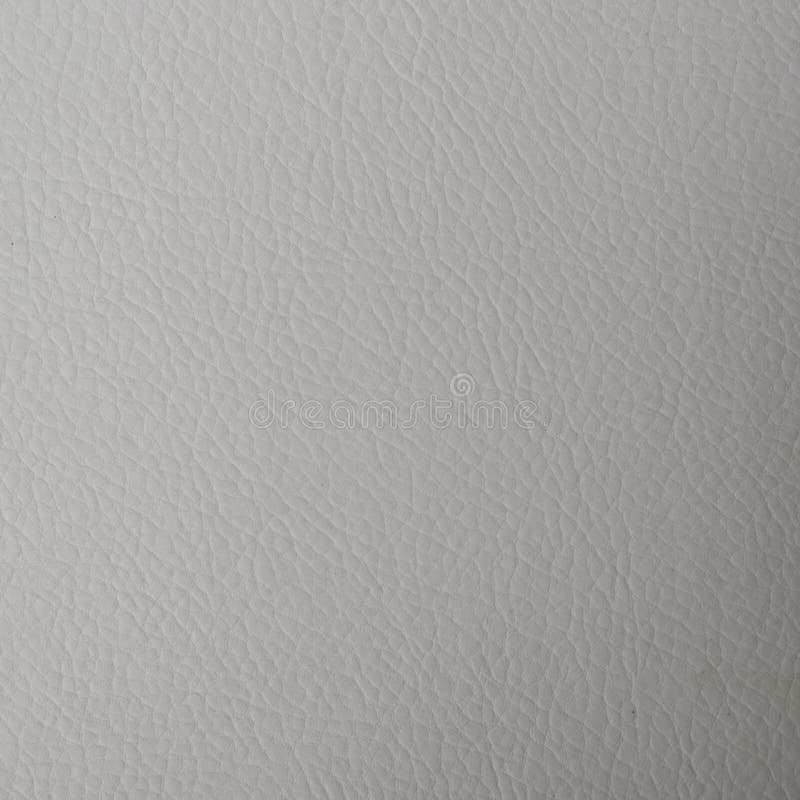 Dirty White Leather Texture Stock Image Image of genuine, detail