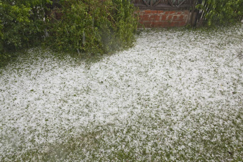 Hail on grass - Weather Storm Disaster. Hail on grass - Weather Storm Disaster