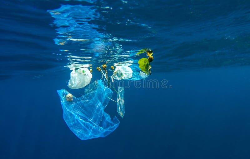 Smaltire plastica borsa disancorato sul Oceano, maldive.