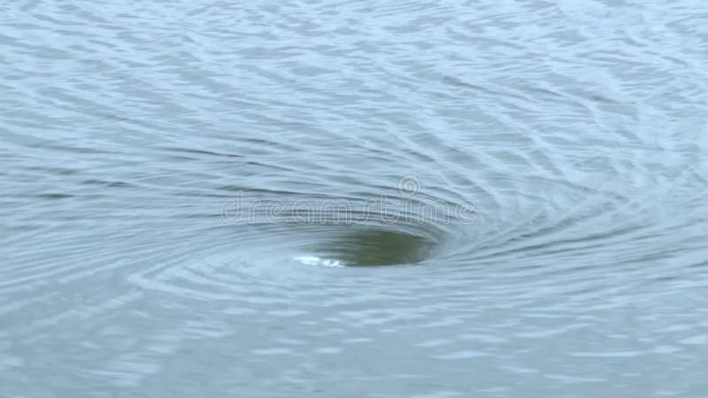 Discesa nel vasto mulinello smisurato dell'oceano