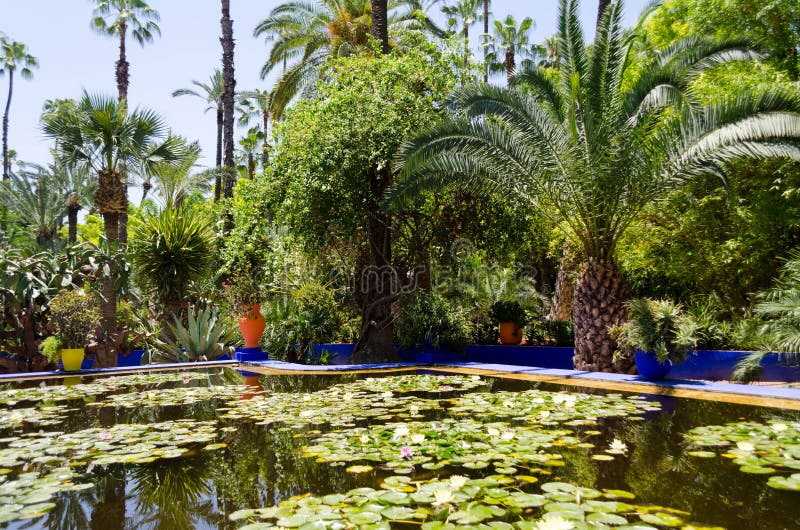 Majorelle garden in Marrakech stock image Majorelle garden in Marrakech stock image