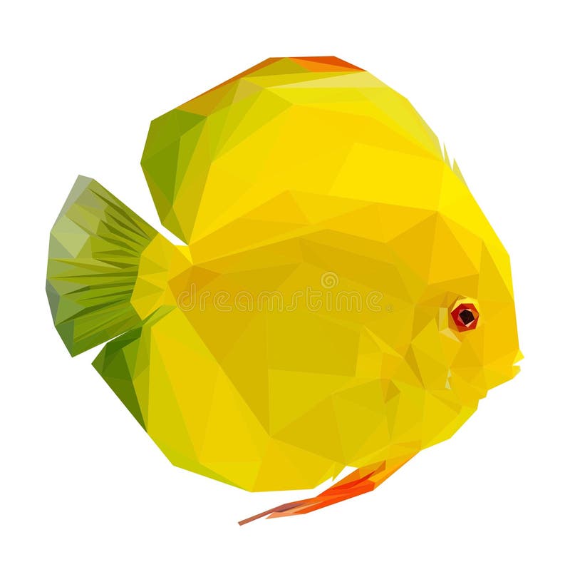 Discus fish royalty free illustration