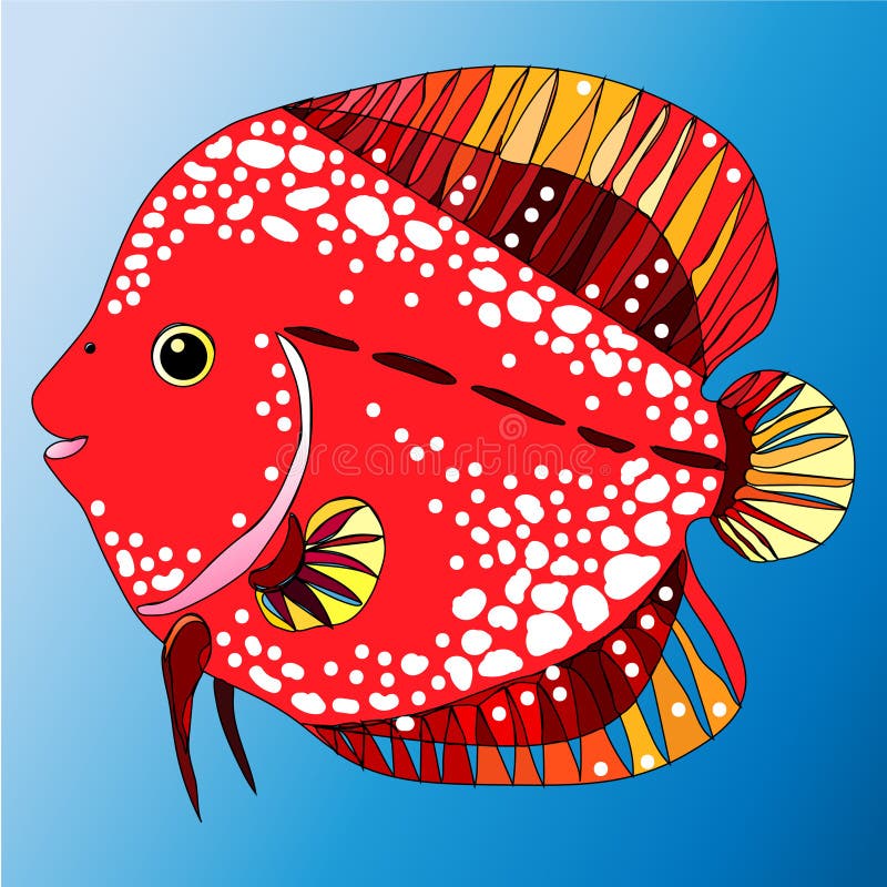Red Discus Fish Stock Illustrations 254 Red Discus Fish Stock