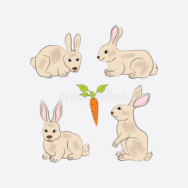 Diseño De Ilustración De Conejo De Dibujos Animados Bonitos Ilustración del Vector - Ilustración de aislado, conejito: 189635715 Diseño De Ilustración De Conejo De Dibujos Animados Bonitos Ilustración del Vector - Ilustración de aislado, conejito: 189635715