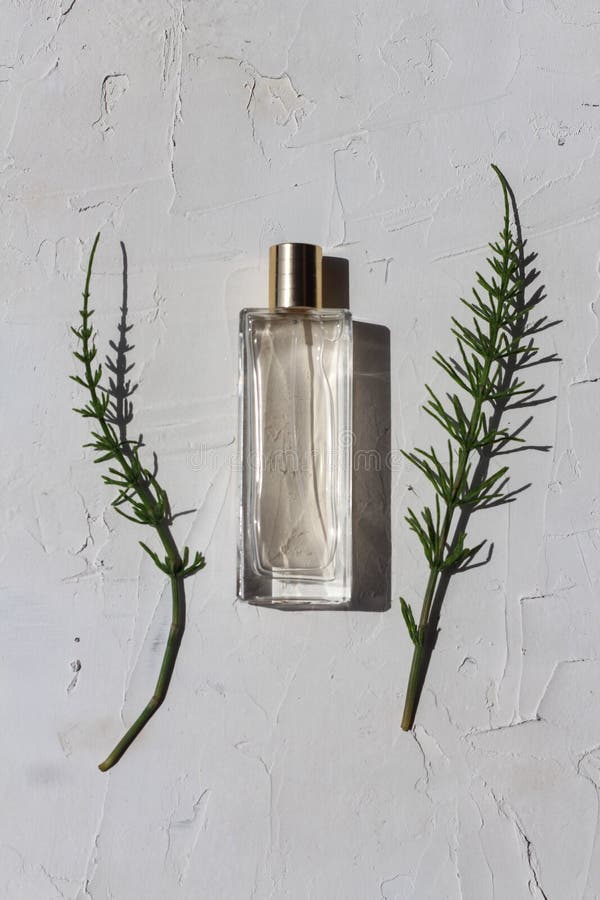 Diseño Minimalista Para Publicidad De Perfumes Foto de archivo - Imagen de  minimalista, botella: 218014062