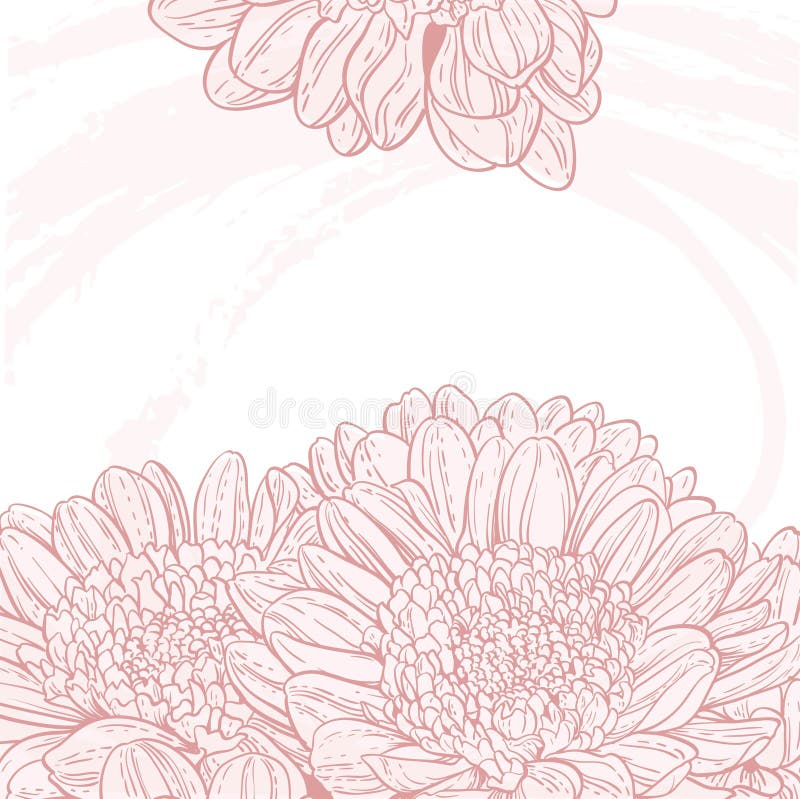 Disegni di linea sfondo crisantemo rosa royalty illustrazione gratis