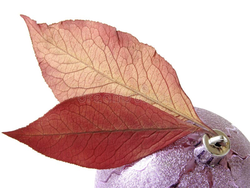 Christmas ornaments with bauble and dry autumnal foliage. Christmas ornaments with bauble and dry autumnal foliage