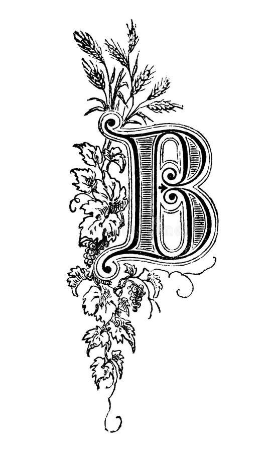 Disegno d'annata della lettera maiuscola decorativa B con l'ornamento floreale intorno illustrazione di stock Disegno d'annata della lettera maiuscola decorativa B con l'ornamento floreale intorno illustrazione di stock